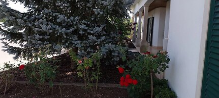Casa com ALma