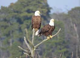 The Lodge at Great Oak Landing