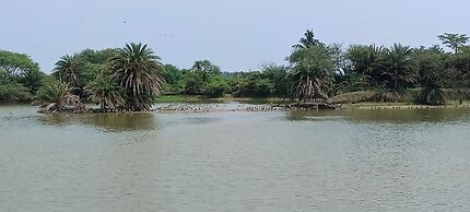 Ocean View Beach Inn