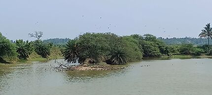 Ocean View Beach Inn