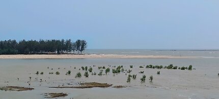 Ocean View Beach Inn