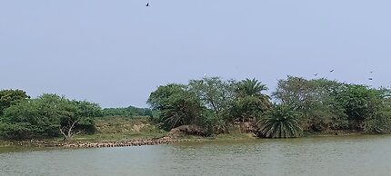 Ocean View Beach Inn