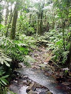 Serenity Rainforest Retreat