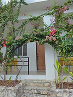 Divers Lodge Plumeria