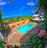 Divers Lodge Plumeria