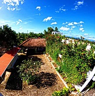 Divers Lodge Plumeria