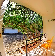 Divers Lodge Plumeria