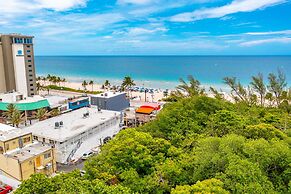 Purple Pelican by Opus (Suite 3)