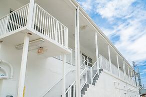 Purple Pelican by Opus (Suite 3)