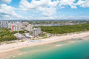 Purple Pelican by Opus (Suite 3)