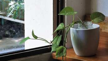 Riverside Apartments