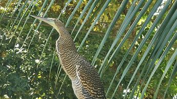 Riverside Apartments