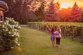 Ann Riley Farmhouse Yuba Vineyards