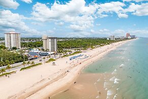 Purple Pelican by Opus (Suite 4)