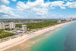 Purple Pelican by Opus (Suite 4)