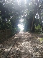 Home Close to the sea With Terrace and Free Parking