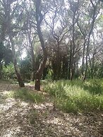 Home Close to the sea With Terrace and Free Parking