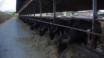 Home Close to the sea With Terrace and Free Parking