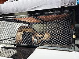 Noir Cafe And Hostel