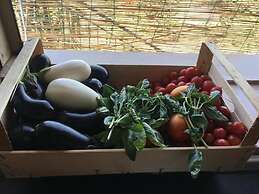 Apartment With Garden Close To The Beach