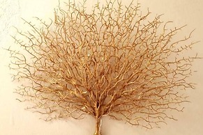 Secure Solar Powered two Bedroomed Haven