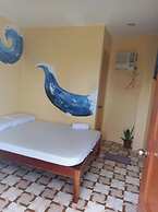 Allen Marie Shiphaus powered by Cocotel