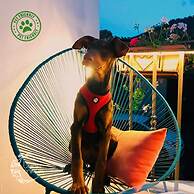 Luna Maya Antigua Hotel