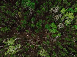 Grayling Gem Royal Stag Lodge