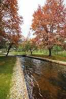 Grayling Gem Royal Stag Lodge