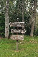 Grayling Gem Royal Stag Lodge