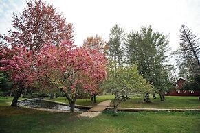 Grayling Gem Royal Stag Lodge