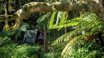 Bobocabin Ranca Upas