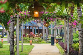 ENSO Retreat Hoi An - Rediscovery & Serenity