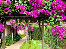 ENSO Retreat Hoi An - Rediscovery & Serenity