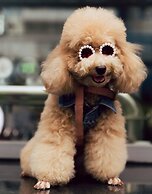 Wink Hotel Tuy Hoa Beach