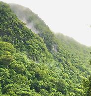 Hannas Inn El Nido Palawan