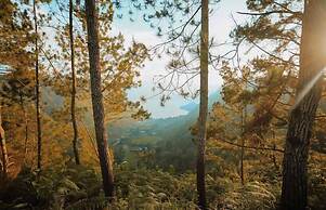 Bobocabin Signature Toba