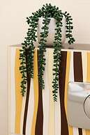 Fort Bema Apartment by Renters