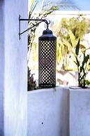 RIAD XO