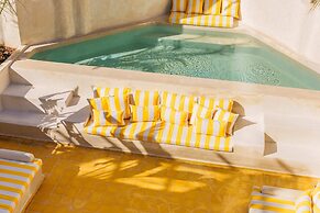 RIAD XO