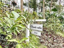 Venus Villa Flamingo Dai Lai by MAPSTAR