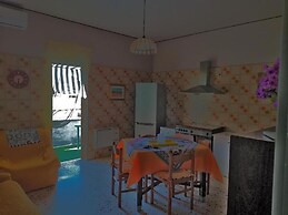 Segesta - Dream Room