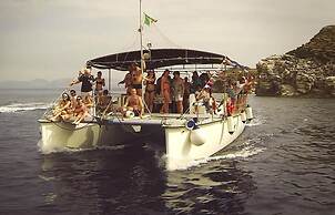 Segesta - Dream Room