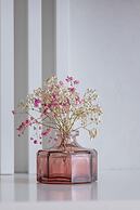 Vetulaniego by Renters Prestige