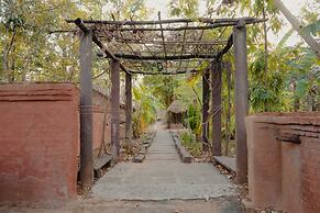 Bandhavgarh National Park