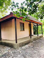 Bandhavgarh National Park