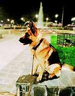 Hotel Windsor Mendoza