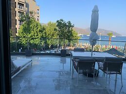 Bono Premium Collection