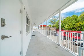 Purple Pelican by Opus (Suite 5)