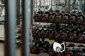 Datum Jelatek by Plush